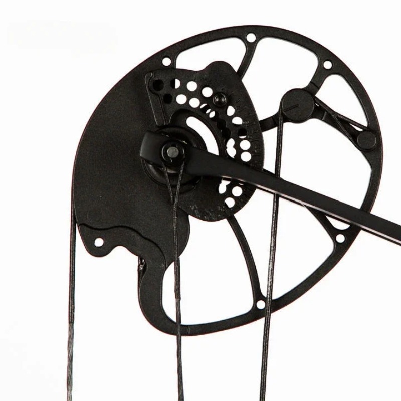 Accmos Archery Dragon X8 Hunti - Outdoor Sport Drawing review and price